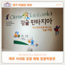 미각 | [제주 박물관 투어] 제주 감귤오감체험전 감귤박물관 (feat. 감귤미각전 후기)