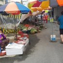 봉곡동245 이미지