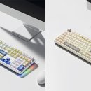 디자인콕스