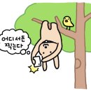가수코인노래연습장 이미지