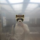 [전시 후기] 예술의 전당 퓰리처상 사진전 *Shooting the pulitzer