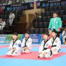 수룡관합기도 유림합기스쿨 이미지