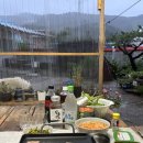 월오포레스트 이미지