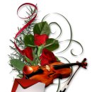 파란물가하얀집 Daum카페