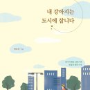 도시 강아지 이미지