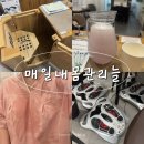 매일 내 몸 관리 늘