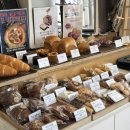 폴브레드 이미지