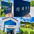 씨유 언양알프스점 | 언양 베이커리 카페 작괘원림 초록 식물과 함께하는 여름,브런치 가볍게 즐기기 좋은 곳