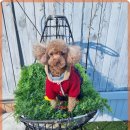 힐포인트 이미지