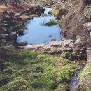 자동차목욕탕 이미지