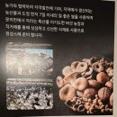 청남판매(주) 이미지