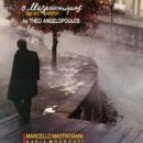 The Beekeeper 이미지