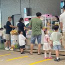 제주 스카이워터쇼 티스토리