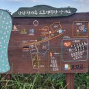 석문오토캠핑장 이미지