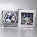 에이치아이씨(HIC) 이미지