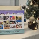 채움동물의료센터 이미지