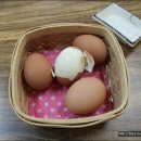 족발생각 이미지