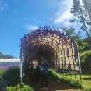 신안문구 이미지