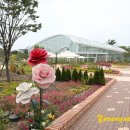 최지원 농장 이미지