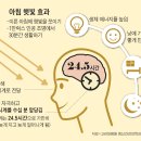 (주)피엘에스 네이버블로그