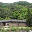 불목농장 티스토리