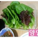 현주채소