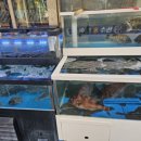 회룡수산