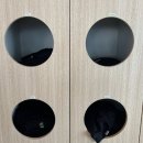 거목인테리어 - 동작구 현충로 158 | 장유헬스장 그레이트짐 김해PT 피티 받고 온 후기