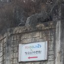 루소의숲어린이집 이미지