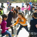 삼숭초 이미지