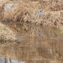 만천천길 이미지