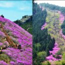 천주산식당 이미지