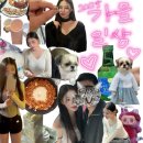 펫아울렛(수영강변점) | 가을 일상이랄까… 🍁(여수여행/유등축제/케이크/글램핑/크림김치볶음밥)