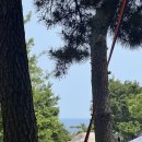 하룻강아지 | 강원도 동해 일출 오션뷰 캠핑장 아름다운캠프 2박3일 캠핑일지