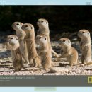 자연속캠핑장 이미지