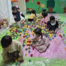 꽃뿐이네 이미지