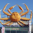 아라회대게 이미지