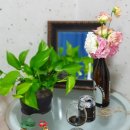 꽃과 바늘과 실타래 이미지