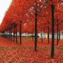 일상을 기록하는 어반 스케치 이미지