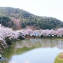 연암목장 이미지