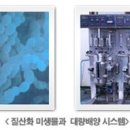 네스시스템 이미지