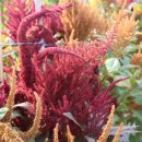 요한이네농장 이미지