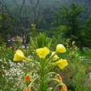 용천2리 | 용문산 장군봉 (1,065m) (경기 양평) 산행기