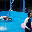 위양지 관광농원 이미지