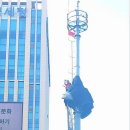 인생은나에게술한잔사주지않았다 | 왜 인생은 술 한잔 사 주지 않았나