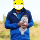 참 조은 훈이네 강아지 이미지