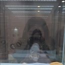 펫아미 강아지분양 고양이분양 동탄점 이미지