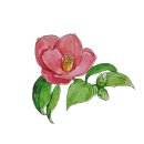 대정요양병원 이미지