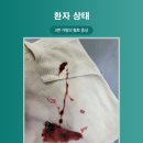 24시 위드힐동물메디컬센터 이미지