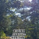 황금사슴농장 이미지